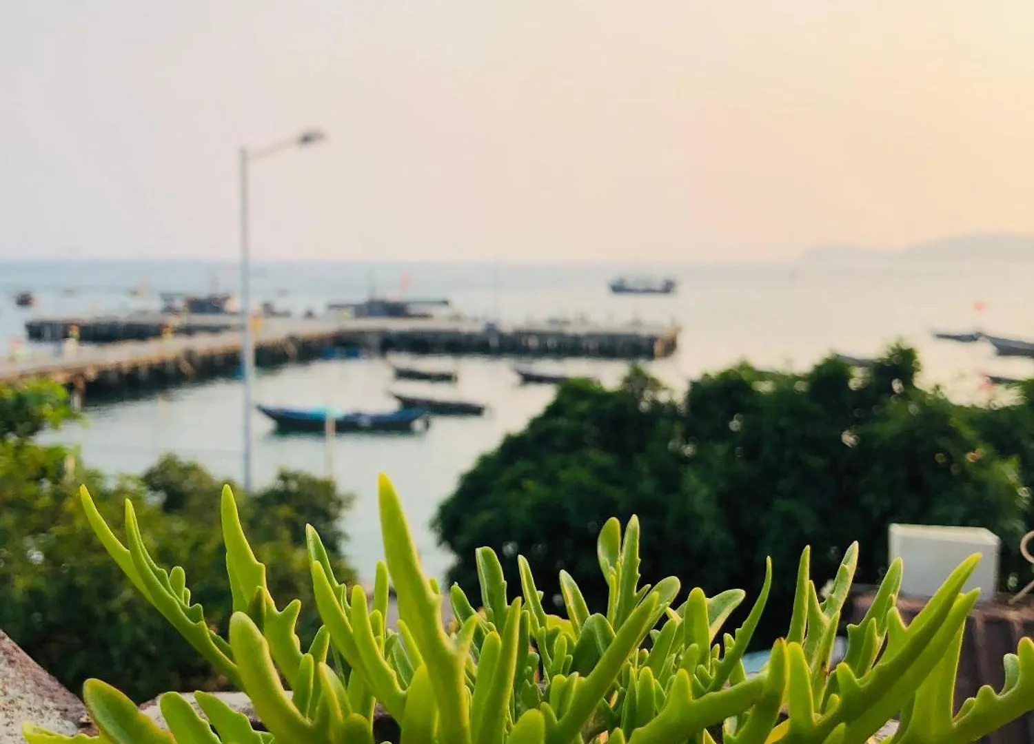 Thu Trang Homestay Cu Lao Cham Hội An Vietnam